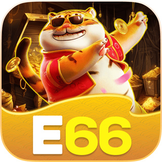 e66 Gaming Experience